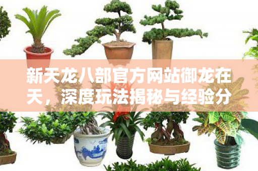 深度玩法揭秘与经验分享天龙私服图片