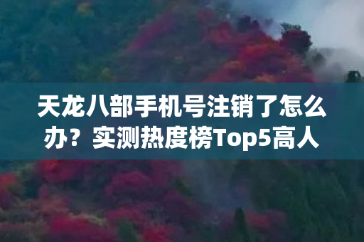 天龙八部手机号注销了怎么办图片