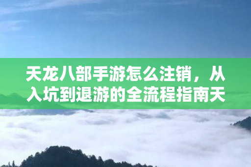 从入坑到退游的全流程指南天龙私服图片