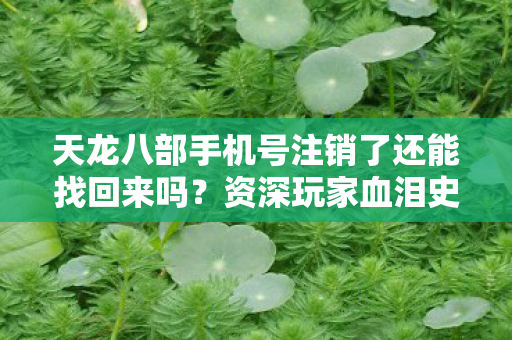 天龙八部手机号注销了还能找回来吗图片
