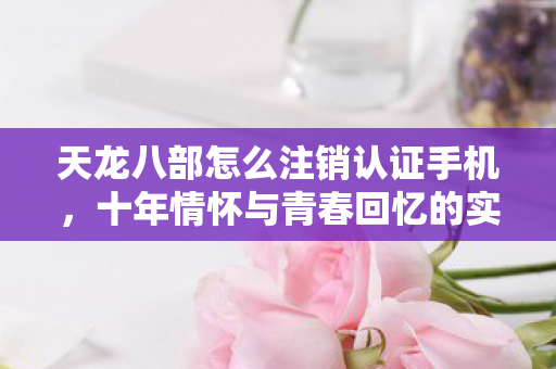 十年情怀与青春回忆的实测认证避坑指南图片