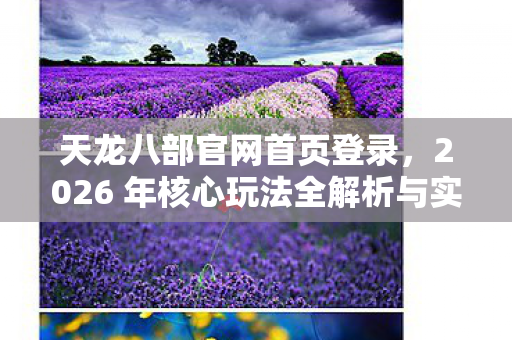2026 年核心玩法全解析与实用指南天龙私服图片