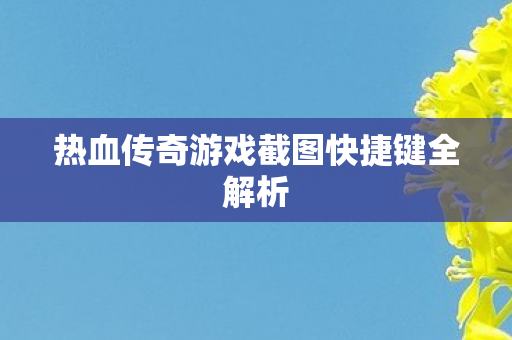热血传奇游戏截图快捷键全解析图片