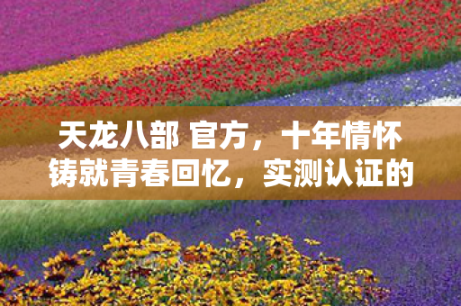 天龙八部 官方,十年情怀铸就青春回忆,实测认证的怀旧服避坑指南你看过吗?天龙八部私服 天龙八部 官方,十年情怀铸就青春回忆,实测认证的怀旧服避坑指南你看过吗?天龙八部私服