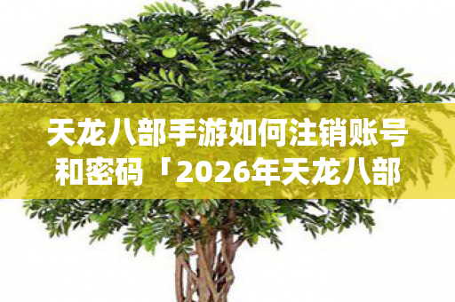 天龙八部手游如何注销账号和密码「2026年天龙八部手游热度榜Top5高人气服实测,避开90%新手陷阱」天龙八部私服 天龙八部手游如何注销账号和密码「2026年天龙八部手游热度榜Top5高人气服实测,避开90%新手陷阱」天龙八部私服