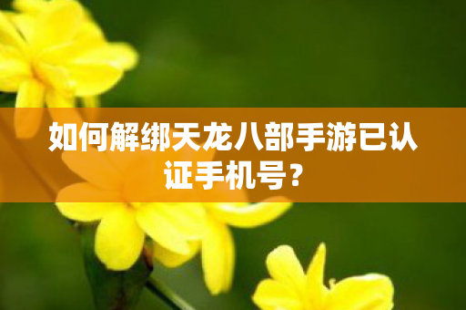 如何解绑天龙八部手游已认证手机号图片