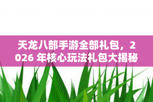 天龙八部手游全部礼包,2026 年核心玩法礼包大揭秘,实用指南助你畅玩!天龙八部私服 天龙八部手游全部礼包,2026 年核心玩法礼包大揭秘,实用指南助你畅玩!天龙八部私服
