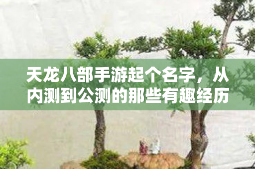天龙八部手游起个名字,从内测到公测的那些有趣经历与实用技巧天龙私服 天龙八部手游起个名字,从内测到公测的那些有趣经历与实用技巧天龙私服