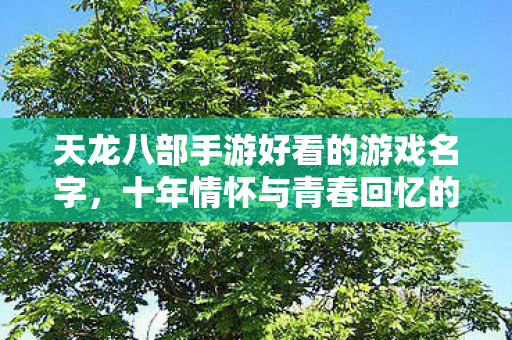 天龙八部手游好看的游戏名字，十年情怀与青春回忆的实测认证指南！天龙私服