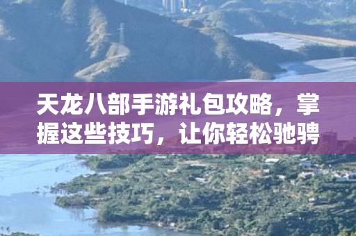 天龙八部手游礼包攻略，掌握这些技巧，让你轻松驰骋江湖天龙私服