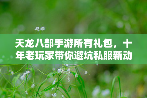 天龙八部手游所有礼包，十年老玩家带你避坑私服新动态天龙私服
