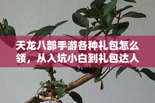 天龙八部手游各种礼包怎么领,从入坑小白到礼包达人的血泪指南天龙私服 天龙八部手游各种礼包怎么领,从入坑小白到礼包达人的血泪指南天龙私服