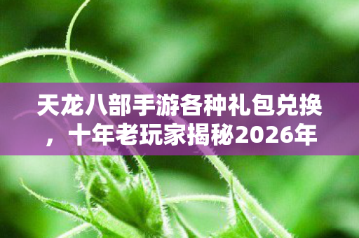 天龙八部手游各种礼包兑换,十年老玩家揭秘2026年私服圈最新兑换攻略天龙私服 天龙八部手游各种礼包兑换,十年老玩家揭秘2026年私服圈最新兑换攻略天龙私服
