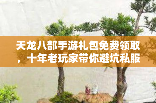 天龙八部手游礼包免费领取，十年老玩家带你避坑私服新动态天龙八部私服