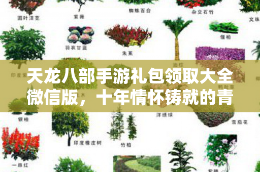 天龙八部手游礼包领取大全微信版，十年情怀铸就的青春回忆，你还记得吗？天龙八部私服