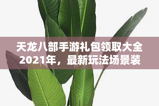 天龙八部手游礼包领取大全2021年，最新玩法场景装备礼包全解析天龙私服