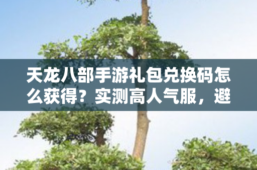 天龙八部手游礼包兑换码怎么获得？实测高人气服，避开新手陷阱！天龙私服