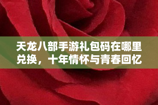 天龙八部手游礼包码在哪里兑换，十年情怀与青春回忆的实测认证指南！天龙私服