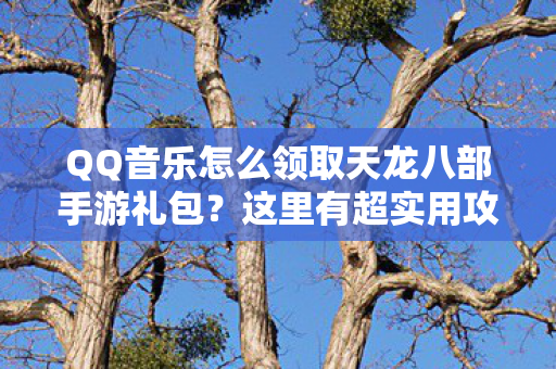 QQ音乐怎么领取天龙八部手游礼包?这里有超实用攻略!天龙私服 QQ音乐怎么领取天龙八部手游礼包?这里有超实用攻略!天龙私服