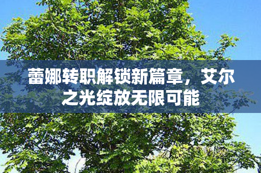 艾尔之光绽放无限可能图片