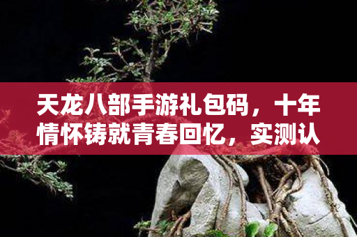 天龙八部手游礼包码，十年情怀铸就青春回忆，实测认证玩法大揭秘！天龙八部私服