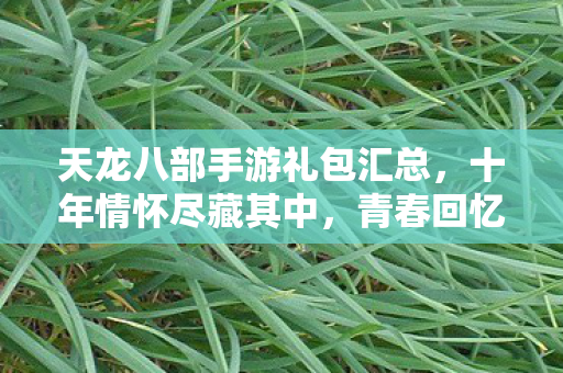 天龙八部手游礼包汇总，十年情怀尽藏其中，青春回忆能否再燃？实测认证等你来探！天龙私服