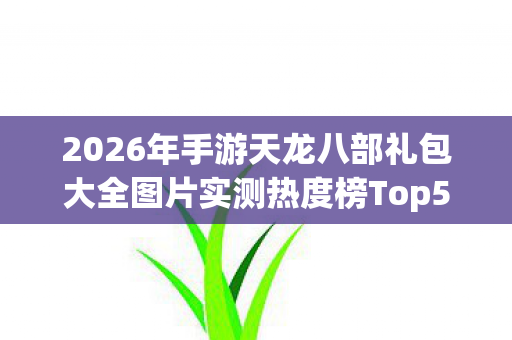 2026年手游天龙八部礼包大全图片实测热度榜Top5，避坑指南大公开！天龙八部私服