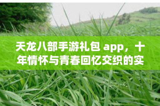 十年情怀与青春回忆交织的实测认证指南图片