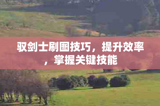 驭剑士刷图技巧图片
