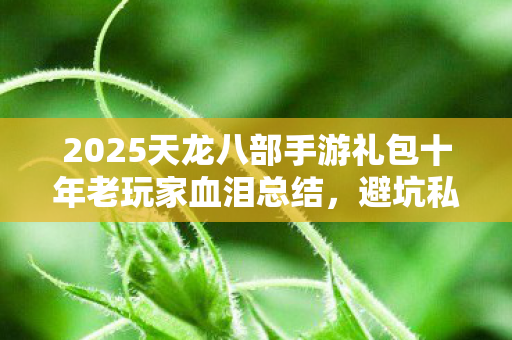 2025天龙八部手游礼包十年老玩家血泪总结图片