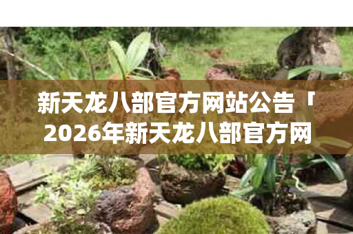 新天龙八部官方网站公告「2026年新天龙八部官方网站公告热度榜,Top10高人气玩法实测,避开80%新手雷区」天龙私服 新天龙八部官方网站公告「2026年新天龙八部官方网站公告热度榜,Top10高人气玩法实测,避开80%新手雷区」天龙私服
