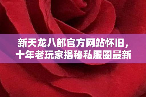 新天龙八部官方网站怀旧,十年老玩家揭秘私服圈最新动态与痛点解决之道天龙私服 新天龙八部官方网站怀旧,十年老玩家揭秘私服圈最新动态与痛点解决之道天龙私服