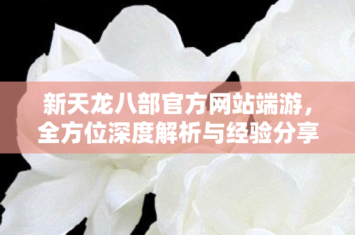 新天龙八部官方网站端游，全方位深度解析与经验分享天龙八部私服