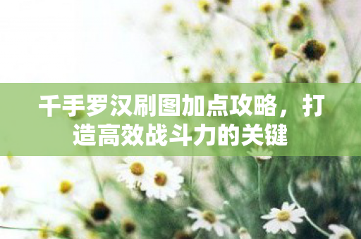 千手罗汉刷图加点攻略图片