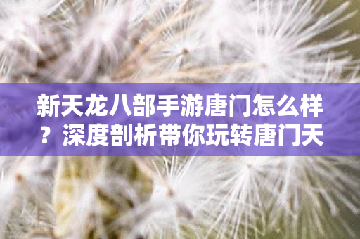 新天龙八部手游唐门怎么样?深度剖析带你玩转唐门天龙八部私服 新天龙八部手游唐门怎么样?深度剖析带你玩转唐门天龙八部私服