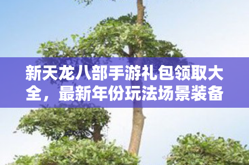 新天龙八部手游礼包领取大全，最新年份玩法场景装备全解析，避坑解惑一步到位天龙八部私服