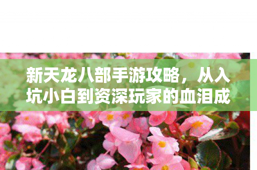 新天龙八部手游攻略,从入坑小白到资深玩家的血泪成长路天龙私服 新天龙八部手游攻略,从入坑小白到资深玩家的血泪成长路天龙私服