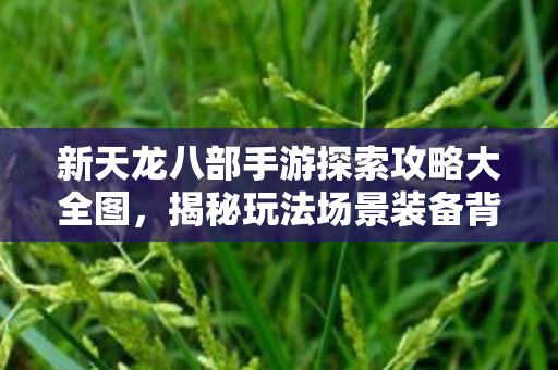 新天龙八部手游探索攻略大全图,揭秘玩法场景装备背后的那些坑与宝天龙私服 新天龙八部手游探索攻略大全图,揭秘玩法场景装备背后的那些坑与宝天龙私服