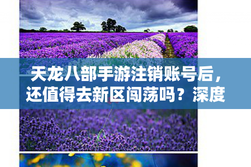 天龙八部手游注销账号后，还值得去新区闯荡吗？深度解析与抉择指南天龙八部私服