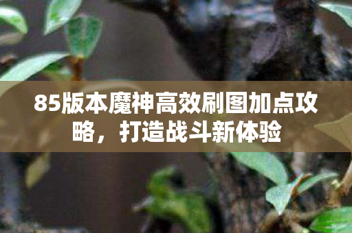 85版本魔神高效刷图加点攻略图片