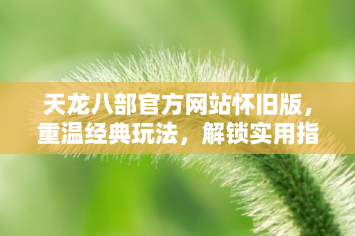 解锁实用指南与痛点解决方案天龙私服图片