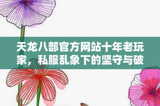 天龙八部官方网站十年老玩家,私服乱象下的坚守与破局天龙私服 天龙八部官方网站十年老玩家,私服乱象下的坚守与破局天龙私服
