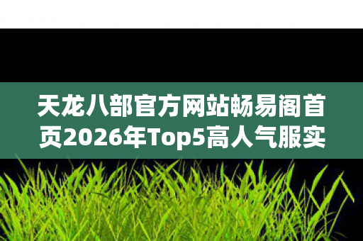 天龙八部官方网站畅易阁首页2026年Top5高人气服实测图片