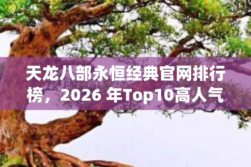 2026 年Top10高人气服大揭秘图片