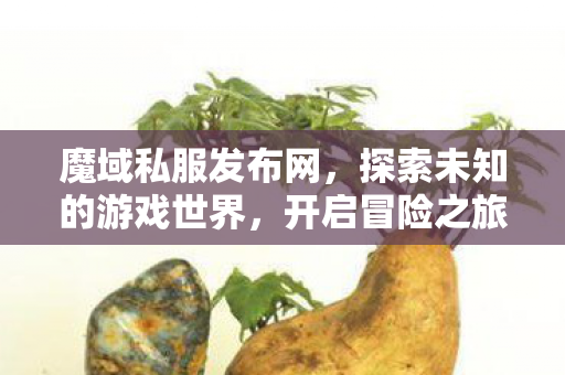 探索未知的游戏世界图片