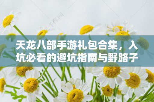 入坑必看的避坑指南与野路子分享天龙私服图片