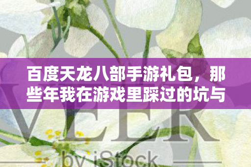 那些年我在游戏里踩过的坑与摸出的野路子天龙私服图片