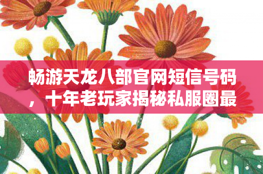 十年老玩家揭秘私服圈最新动态与避坑指南天龙私服图片