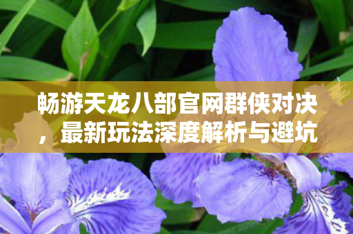 最新玩法深度解析与避坑指南天龙八部私服图片