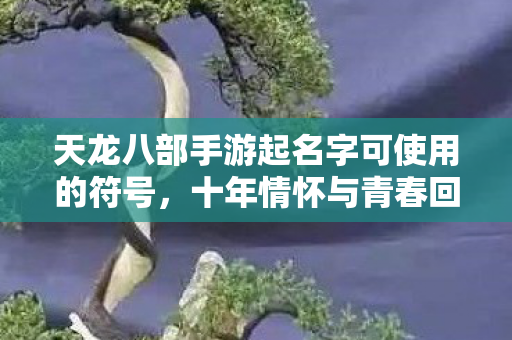 十年情怀与青春回忆交织的实测认证指南图片